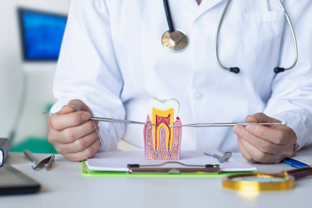 Best Weekend Emergency Dental Services in Savanna, IL